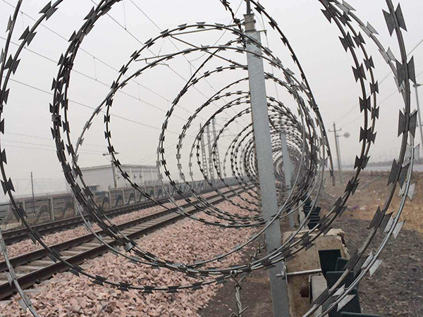 刺絲滾籠圖片2 刺絲滾籠圖片2