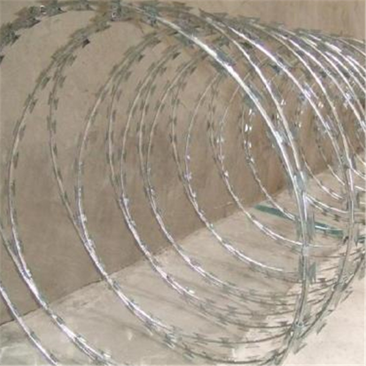 刀片刺網案例展示圖片3 刀片刺網案例展示圖片3